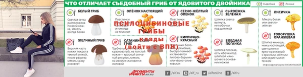 тгк Белокуриха