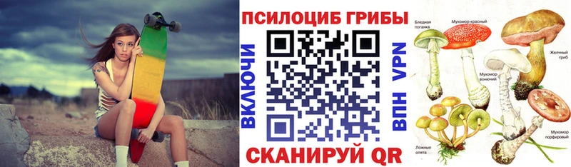 наркотики Северск МЕГА онион Псилоцибиновые грибы MAGIC MUSHROOMS